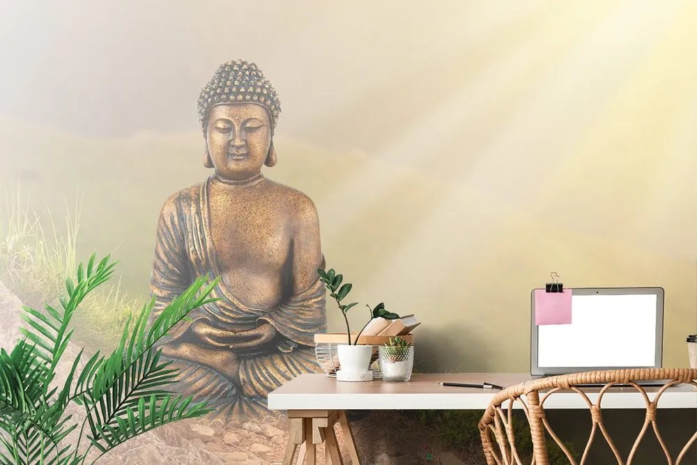 Carta da parati – Statua di Buddha in posizione meditativa