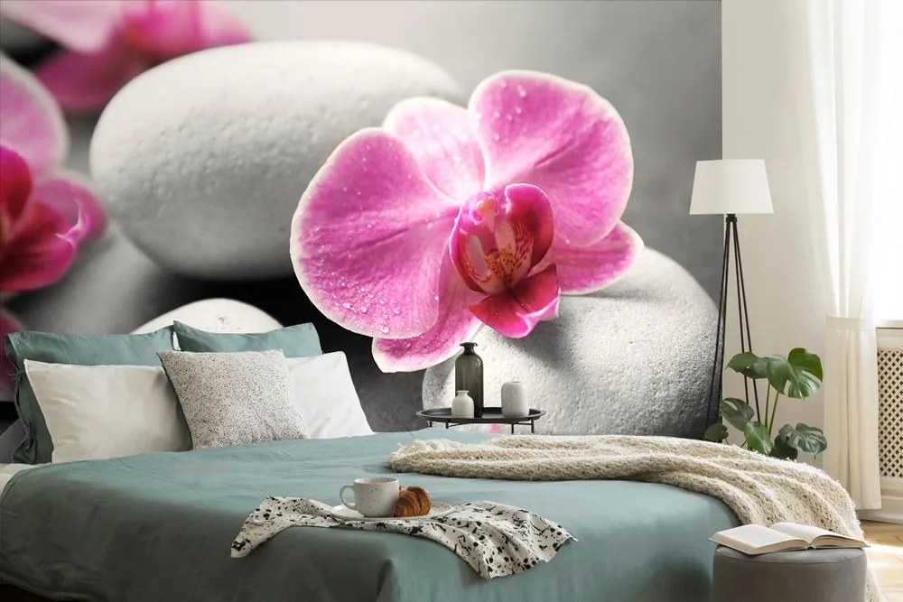 Carta da parati – Fiori di orchidea su pietre