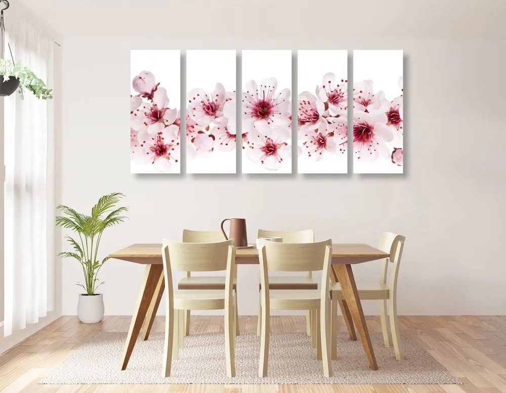 Quadri 5 pezzi – Fiori di ciliegio