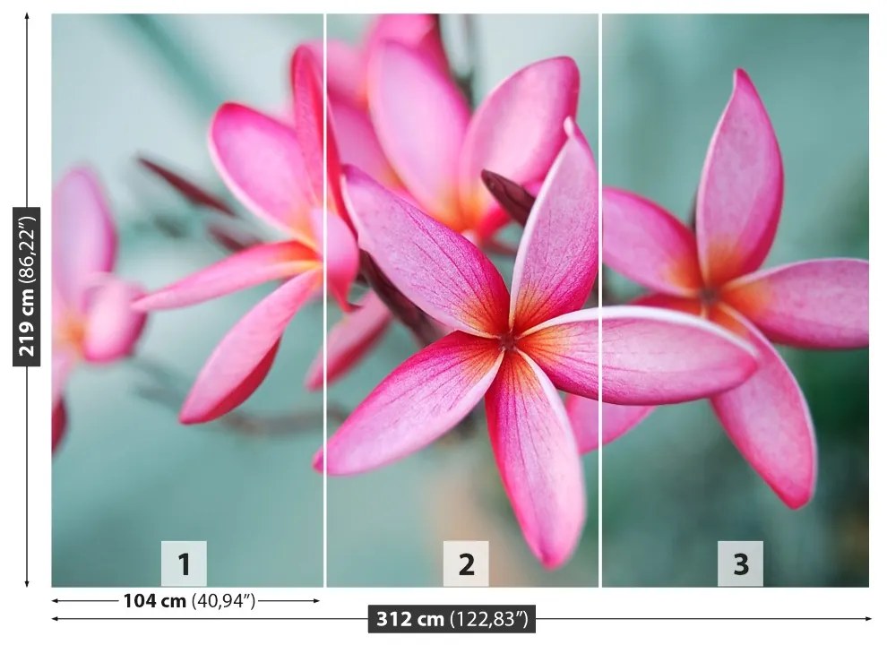 Carta da parati Plumeria rosa 104x70 cm