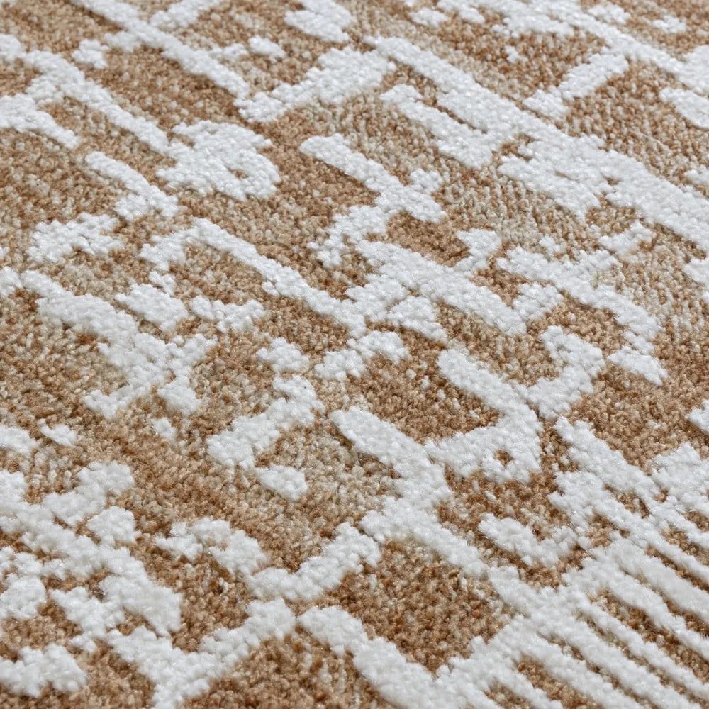 Tappeto beige 160x240 cm Anders Beige Natural – Asiatic Carpets