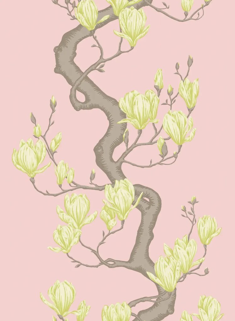 Cole & Son Carta da parati Magnolia Tree - Rose Pink and Soft Lemon