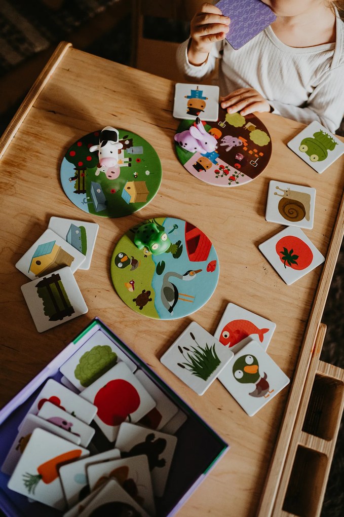 Dove e come vivono gli animali?