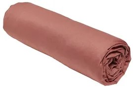 Today  Lenzuolo con angoli DH 140/190+23 Coton TODAY Essential Terracotta  Today