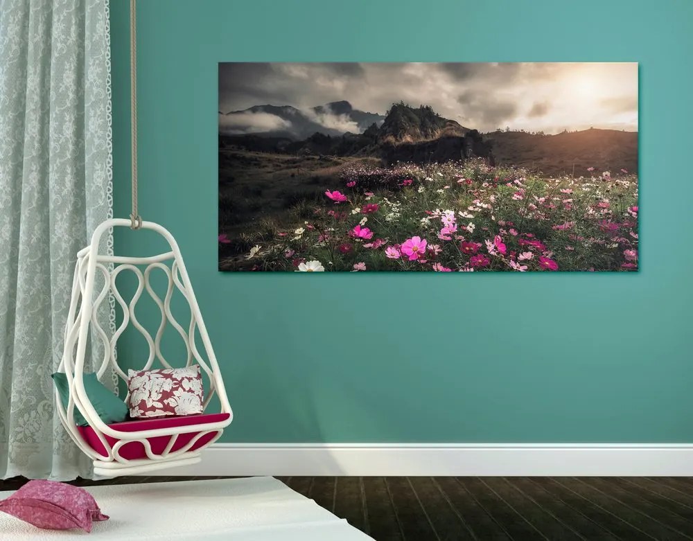 Quadro su tela – Prato di fiori in fiore