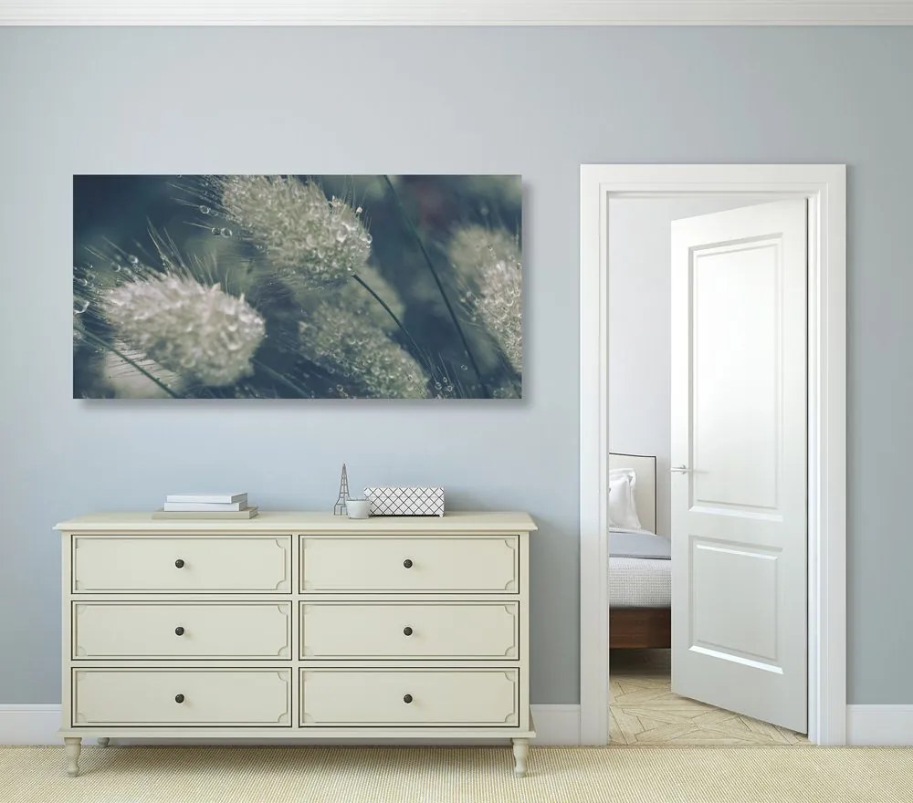 Quadro su tela – Gocce di rugiada sull'erba