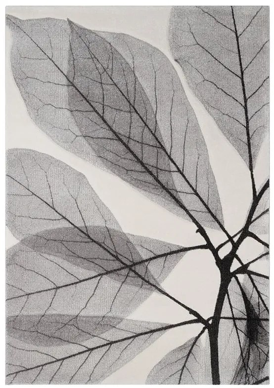 Tappeto Leaves natura beige chiaro, L 230 x L 160 cm