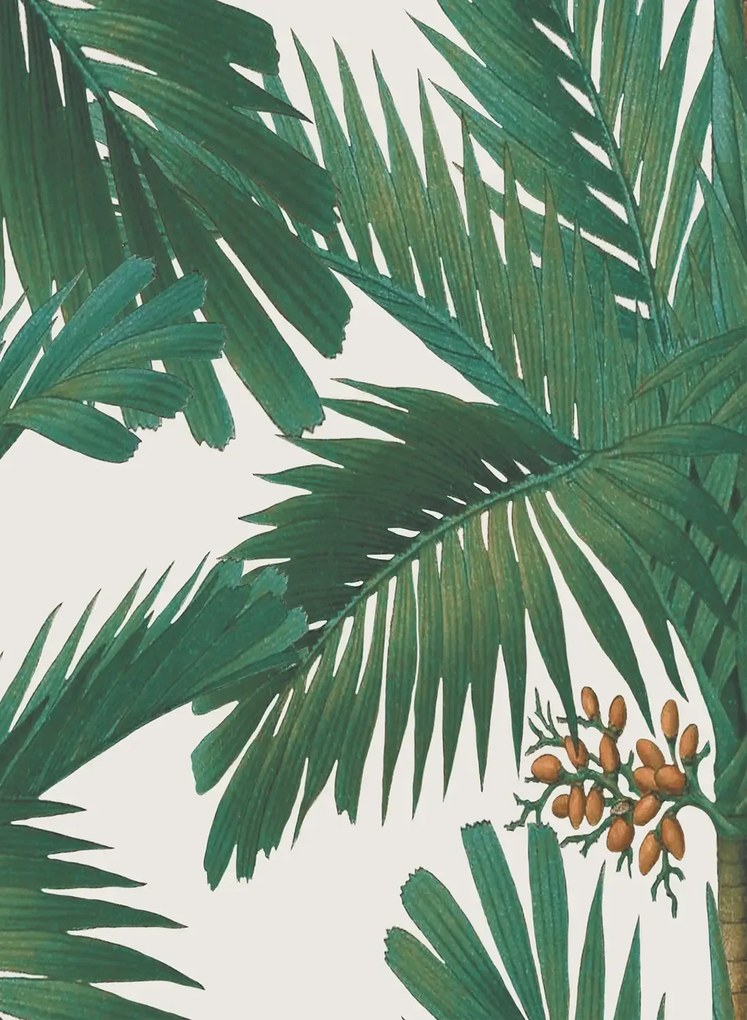 Rebel Walls Carta da parati Palm Spring - Pearl