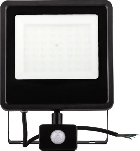 Proiettore da esterno a LED con sensore LED/50W/230V 4000K IP65 nero