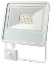 Faro Proiettore EDM 50 W 3500 lm 6400K