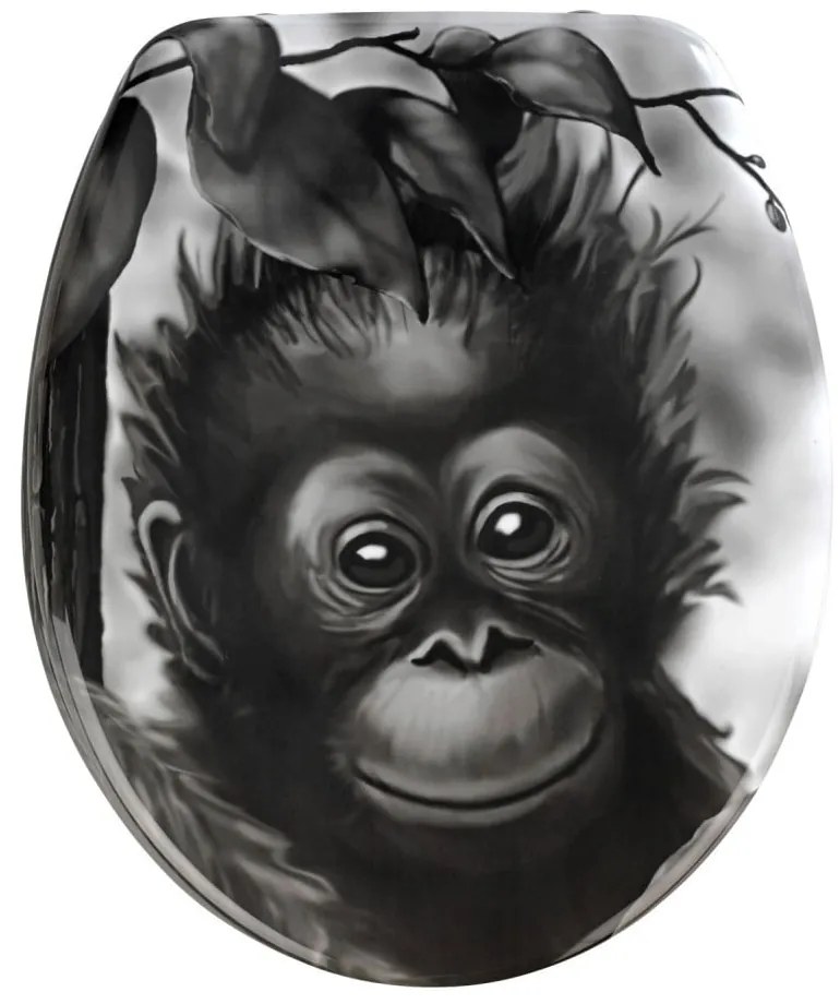 Sedile WC , 44,5 x 36,5 cm Ape - Wenko