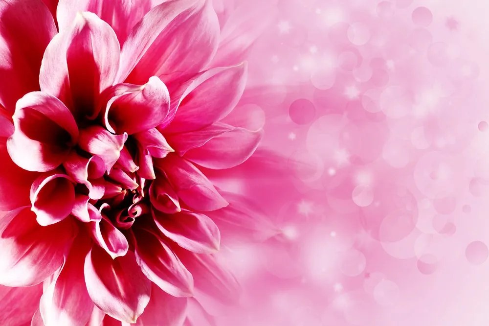 Carta da parati autoadesiva – Fiore rosa