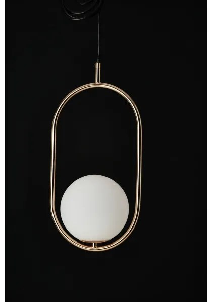 Azzardo AZ4981 - Lampadario a sospensione con filo COCO 1xG9/50W/230V