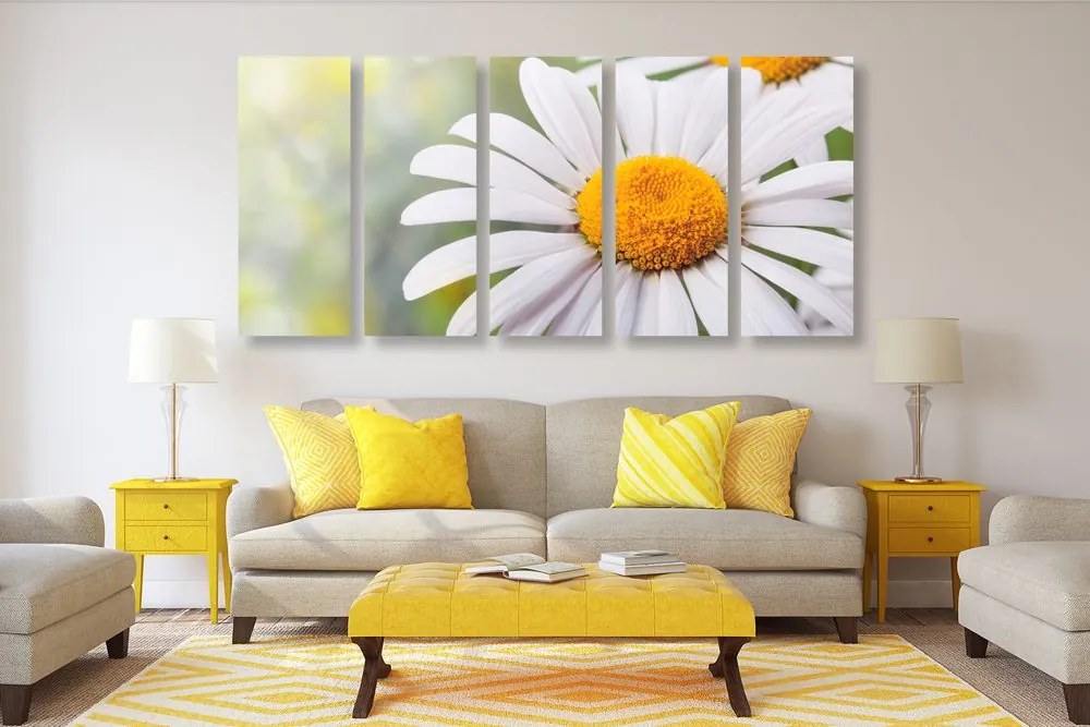 Quadri 5 pezzi – Fiori di margherita