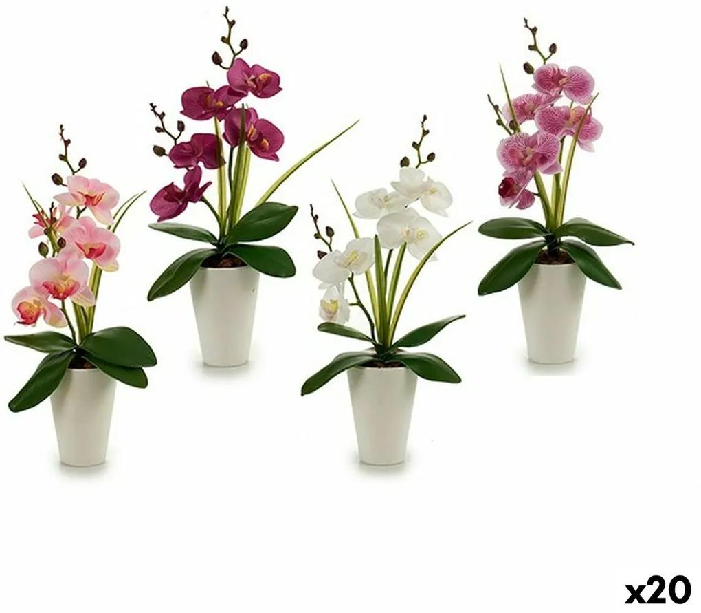 Fiore Decorativo Orchidea Plastica 14 x 35 x 8 cm (12 Unità)