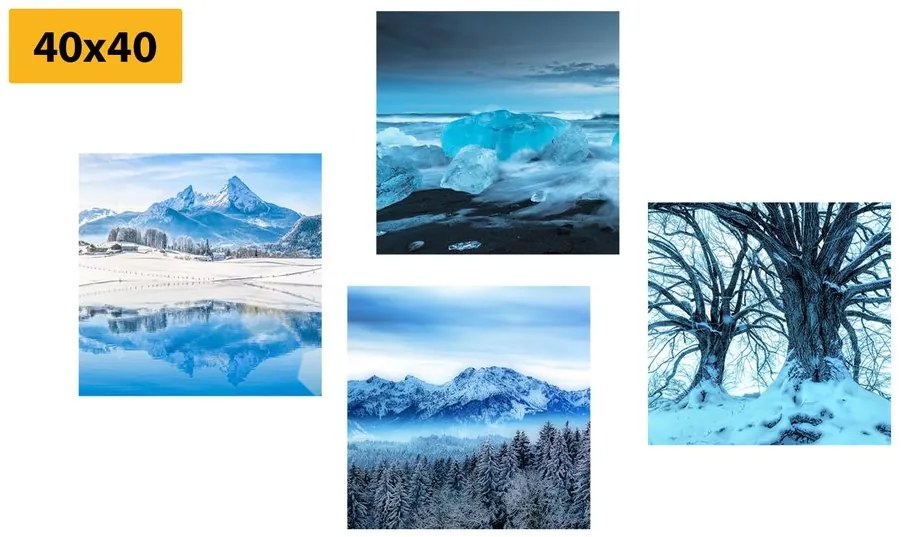 Set di quadri – Regno innevato