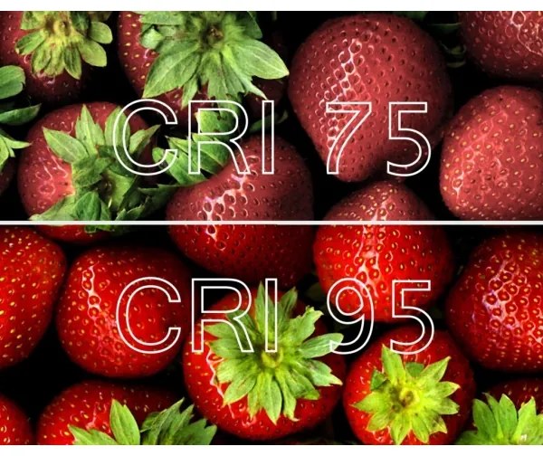 Lampadina LED Antibatterica Dimmerabile B40 E14/4,9W/230V Wi-Fi - Ledvance