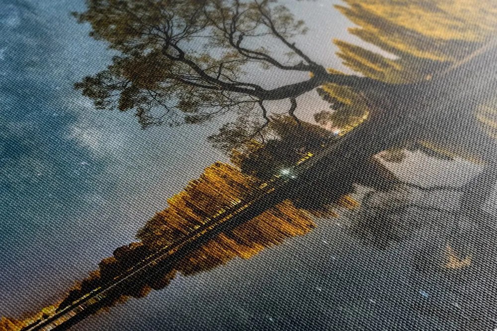 Quadro su tela – Albero sotto il cielo stellato