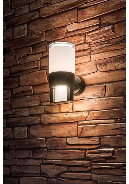 Rabalux 77130 - Applique a LED da esterno LEITHA LED/12W/230V IP44