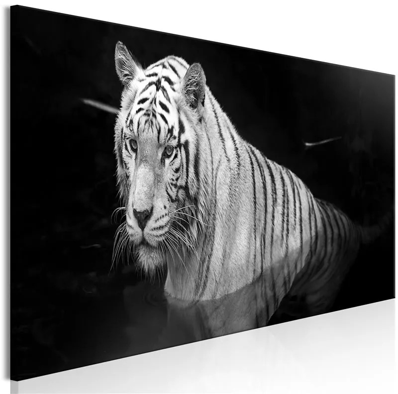 Quadro Shining Tiger (1 Part) Black and White Narrow  Colore bianco e nero, Dimensioni e Misure 120x40