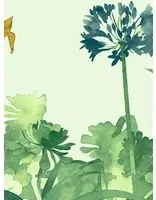 Paint & Paper Library Carta da parati panoramica Aloe Walk - Glass