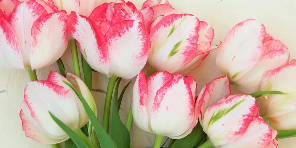 Quadro su tela – Tulipani con tocco primaverile