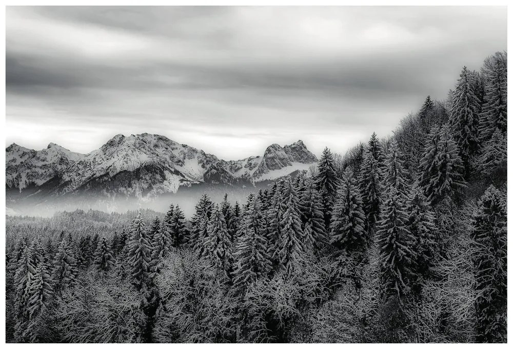 Carta da parati – Montagne ghiacciate in bianco e nero