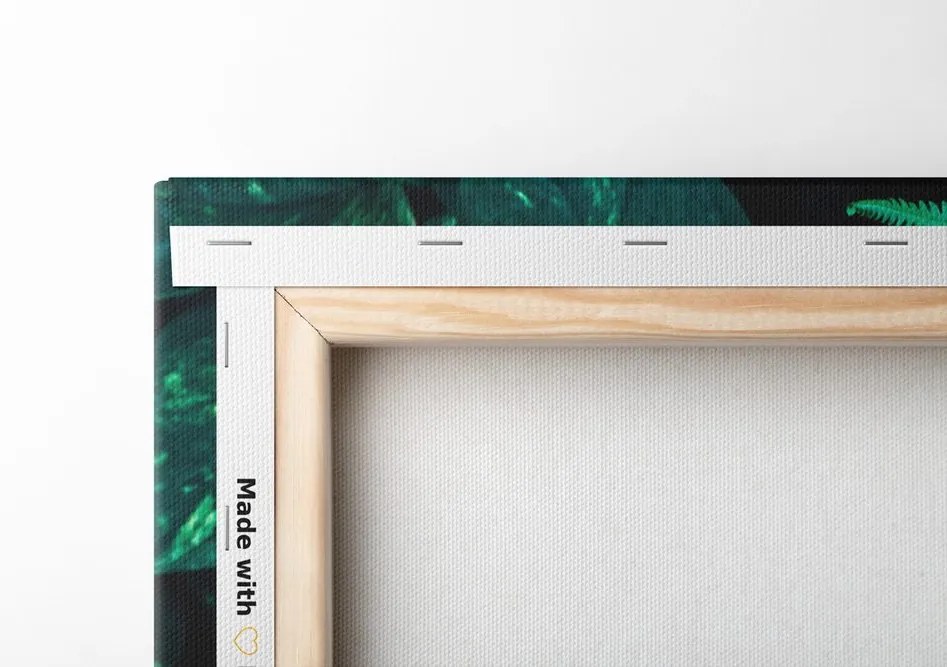 Quadro su tela – Foglie tropicali fresche