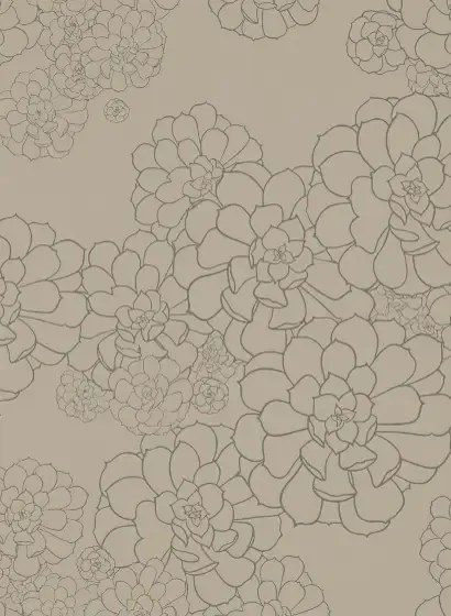 Paint & Paper Library Carta da parati Aeonium - Cotton