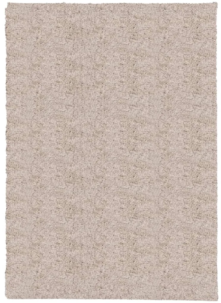 Tappeto Shaggy a Pelo Lungo Moderno Beige 200x280 cm