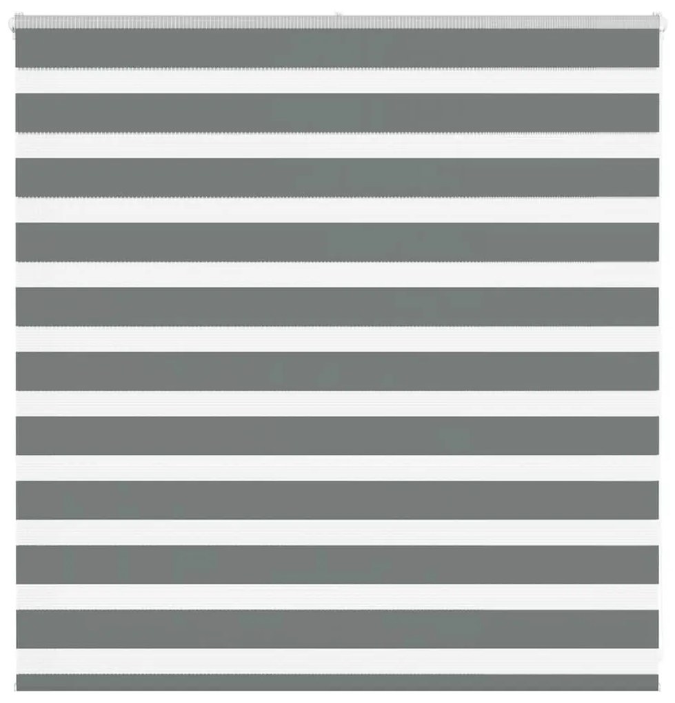 Tenda A Rullo Zebra Larghezza Tessuto 135,9 Cm Poliestere /