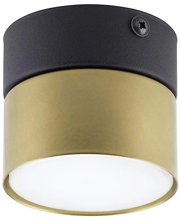 Faretto SPACE GOLD 1xGX53/15W/230V