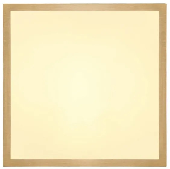 Globo 12382-15 - Plafoniera LED TIBEY LED/15W/230V 25x25 cm