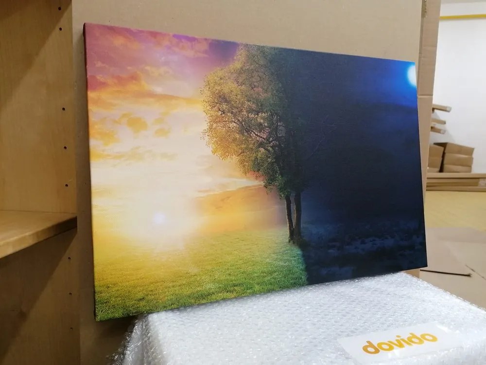 Quadro su tela – Giorno e notte