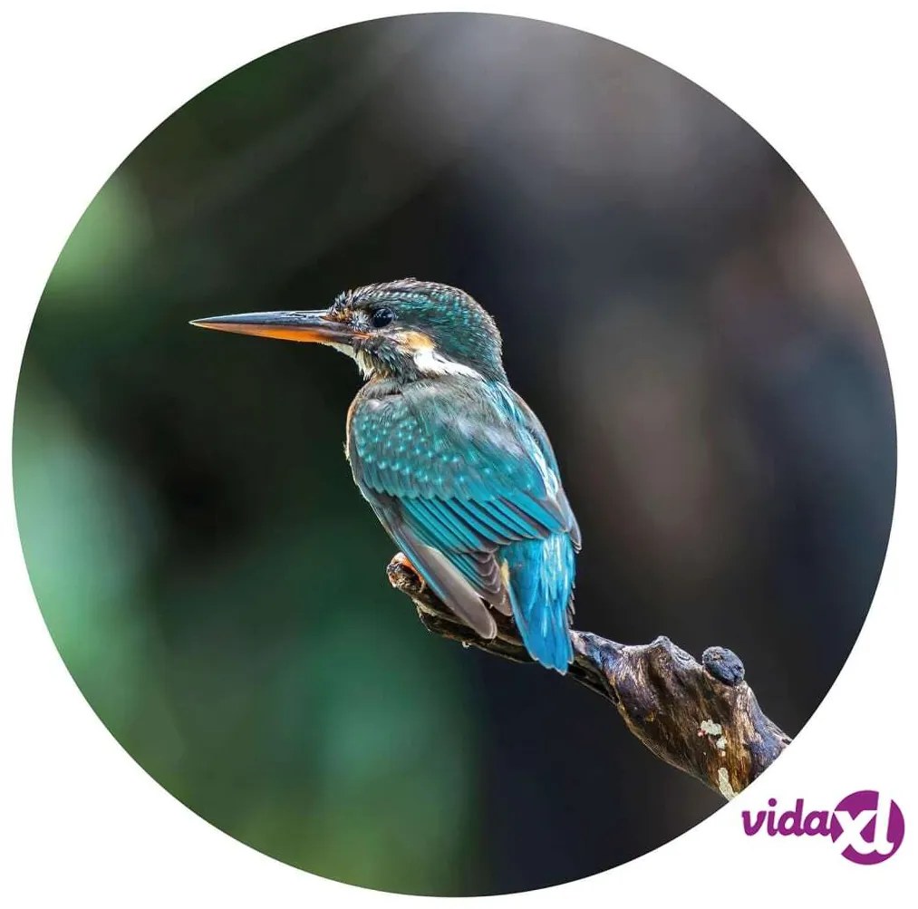 WallArt Cerchio Carta da Parati The Kingfisher 142,5 cm