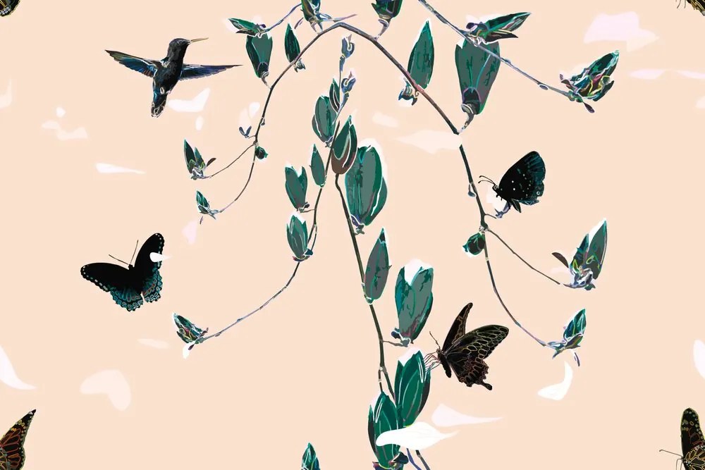 Carta da parati – Bellissime farfalle in natura