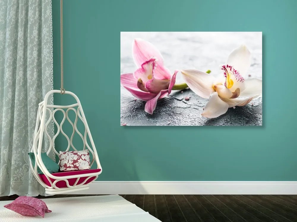 Stampa su tela – Due fiori colorati di orchidea