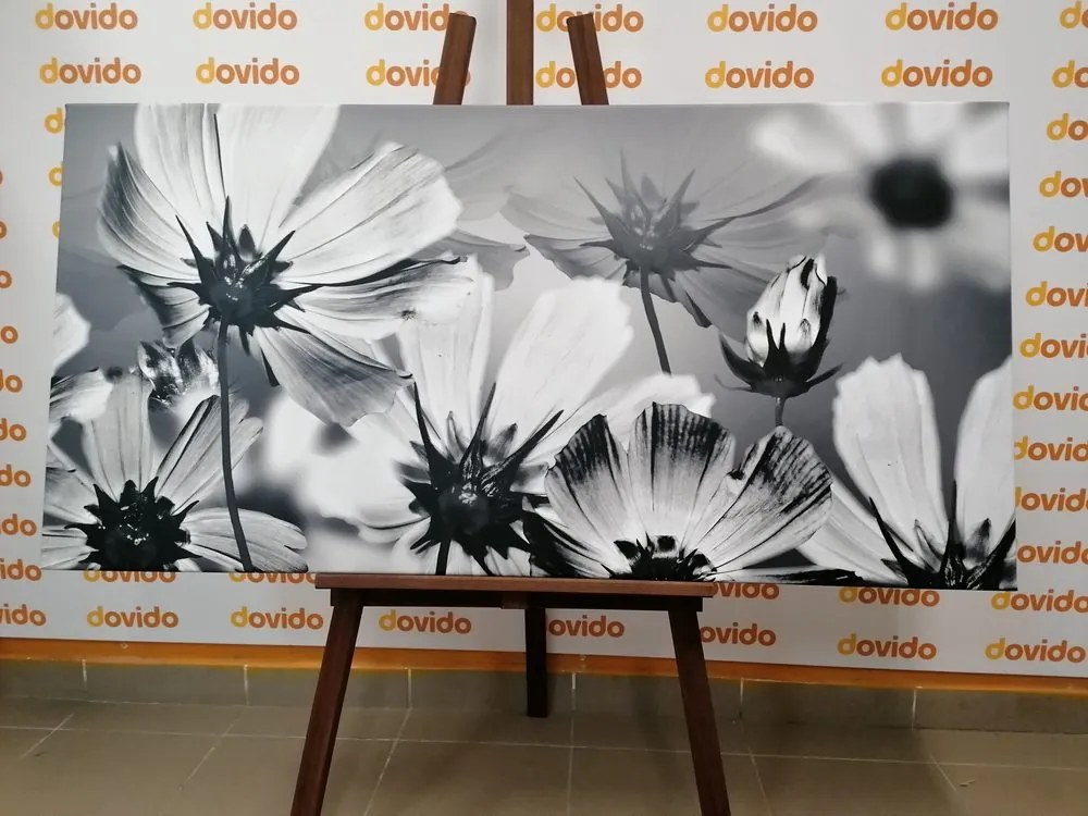 Quadro su tela – Fiori da giardino in bianco e nero