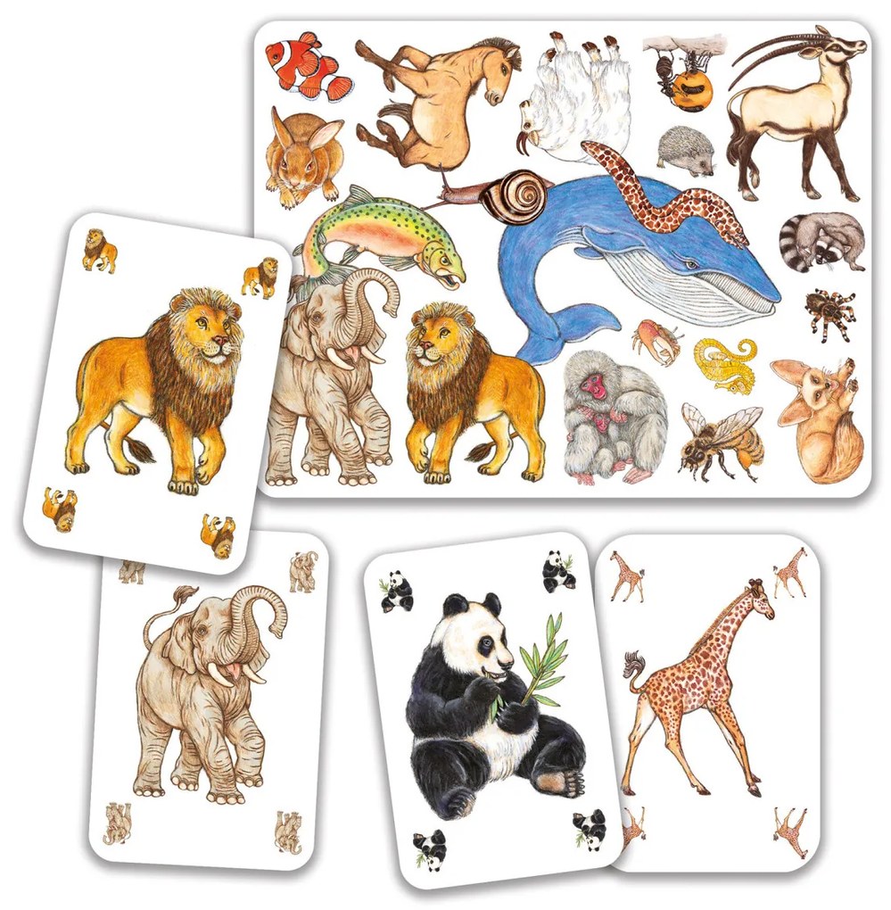 Zanimatch - gioco di carte