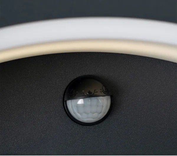 Brilagi - Lampada da parete LED esterna con sensore ARCELO LED/8W/230V IP54