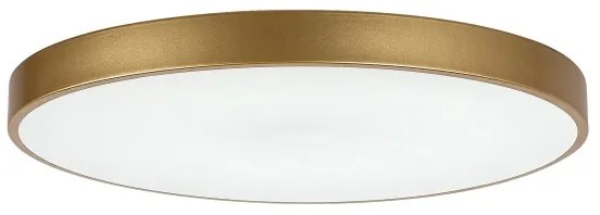 Rabalux 71038 -LED Plafoniera dimmerabile TESIA LED/60W/230V 3000-6000K+telecomando