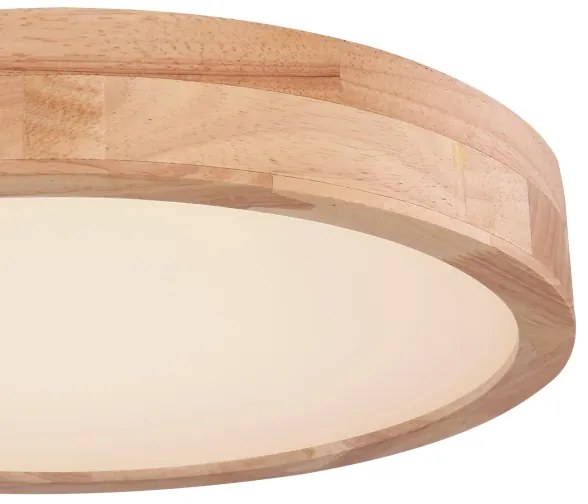 Globo 41745-24 - Plafoniera LED Dimming RAINER LED/24W/230V + TC