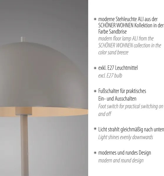 Schöner Wohnen 11727-39 - Lampada da terra ALI 1xE27/25W/230V grigia