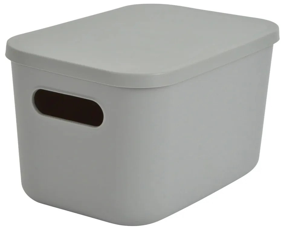 Scatola con coperchio grigia in plastica 24,5x18x15 cm – Homéa