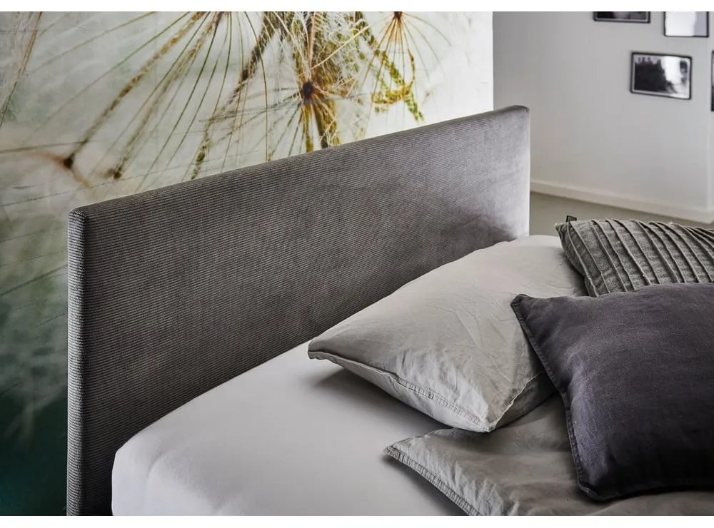 Letto da bambini color antracite imbottito con contenitore con rete inclusa 90x200 cm Cool – Meise Möbel