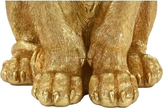 Re Leone Shant Cm 30X42X74