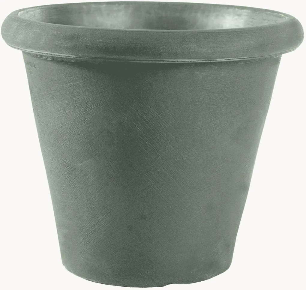 Portavaso Camelia