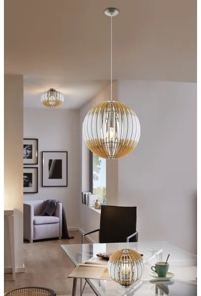 Eglo 32844 - Plafoniera OLMERO 1 1xE27/60W/230V