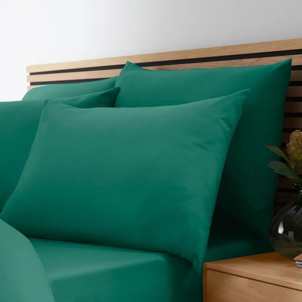 Set copripiumino e federa color foglia di tè per letto matrimoniale e per letto esteso 230x220 cm So Soft Non-Iron – Catherine Lansfield