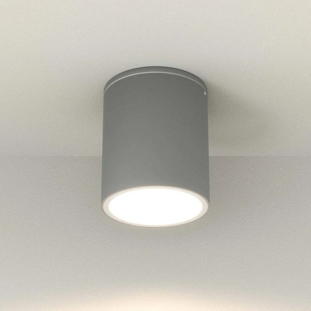 Applique da soffitto Cilindrica PAR30 IP54 in Alluminio e Vetro - Grigia